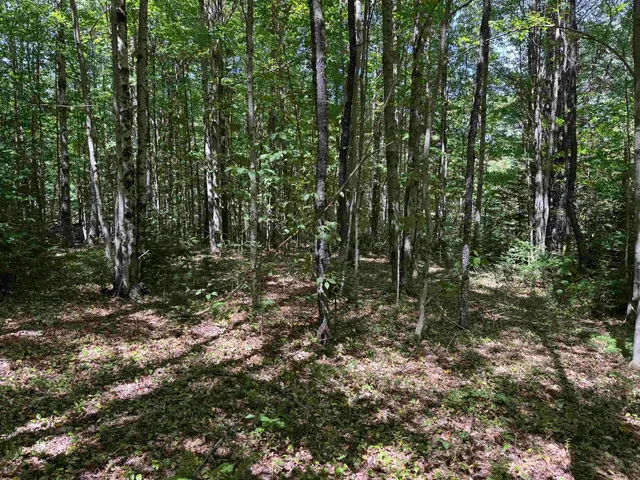 $199,000 | 0 Lake Hill Road, Unit SPRING LOT, Jacksonville, VT 05342