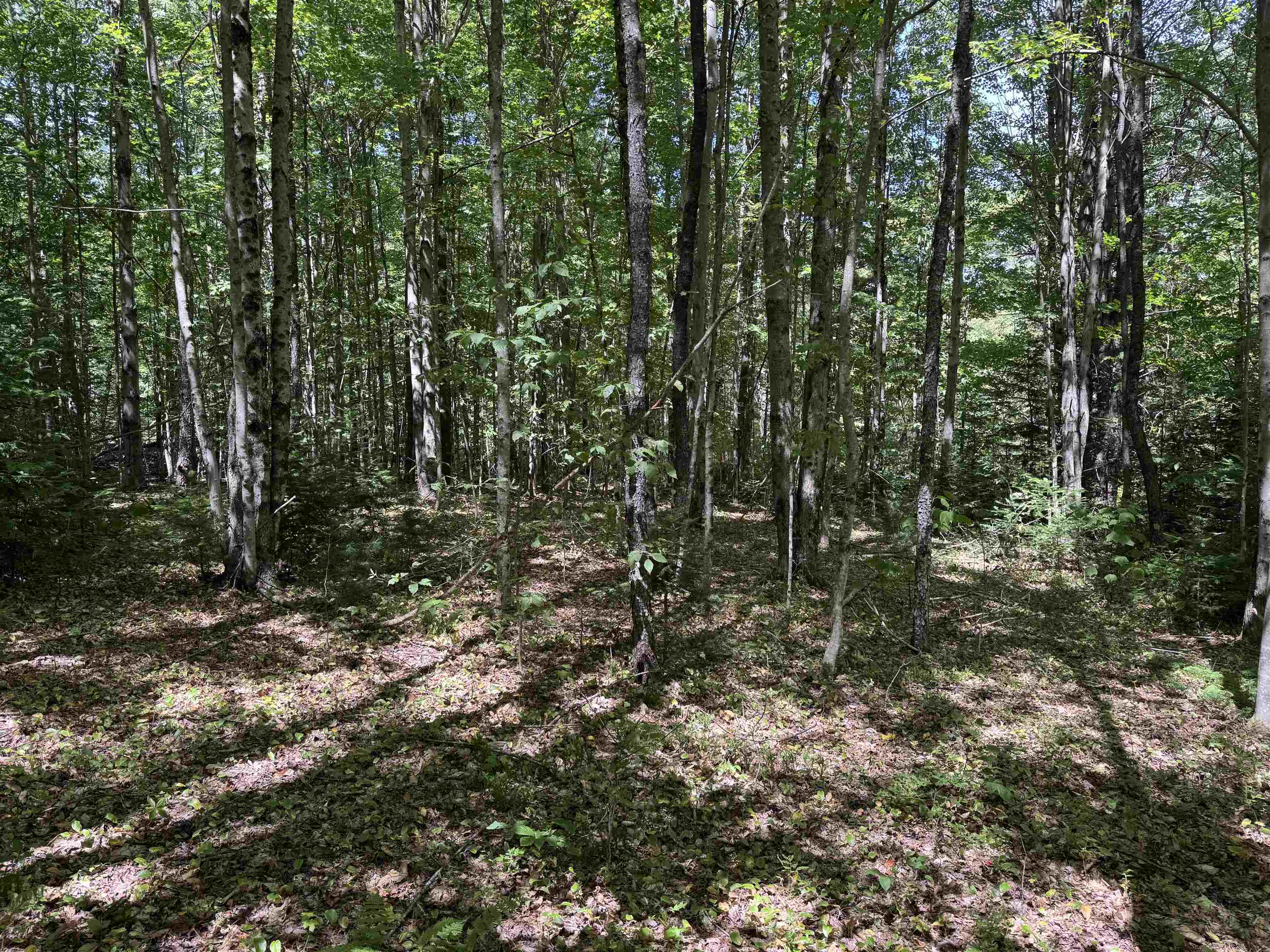 0 Lake Hill Road, Unit SPRING LOT Jacksonville, VT 05342 - Photo 22 of 22