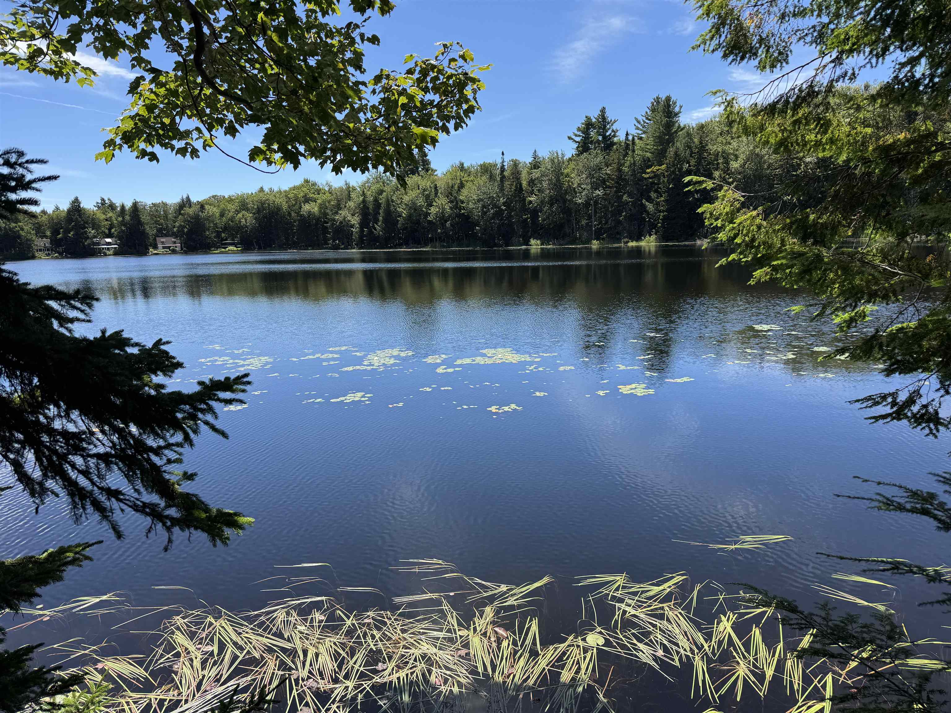 0 Lake Hill Road, Unit SPRING LOT Jacksonville, VT 05342 - Photo 4 of 22