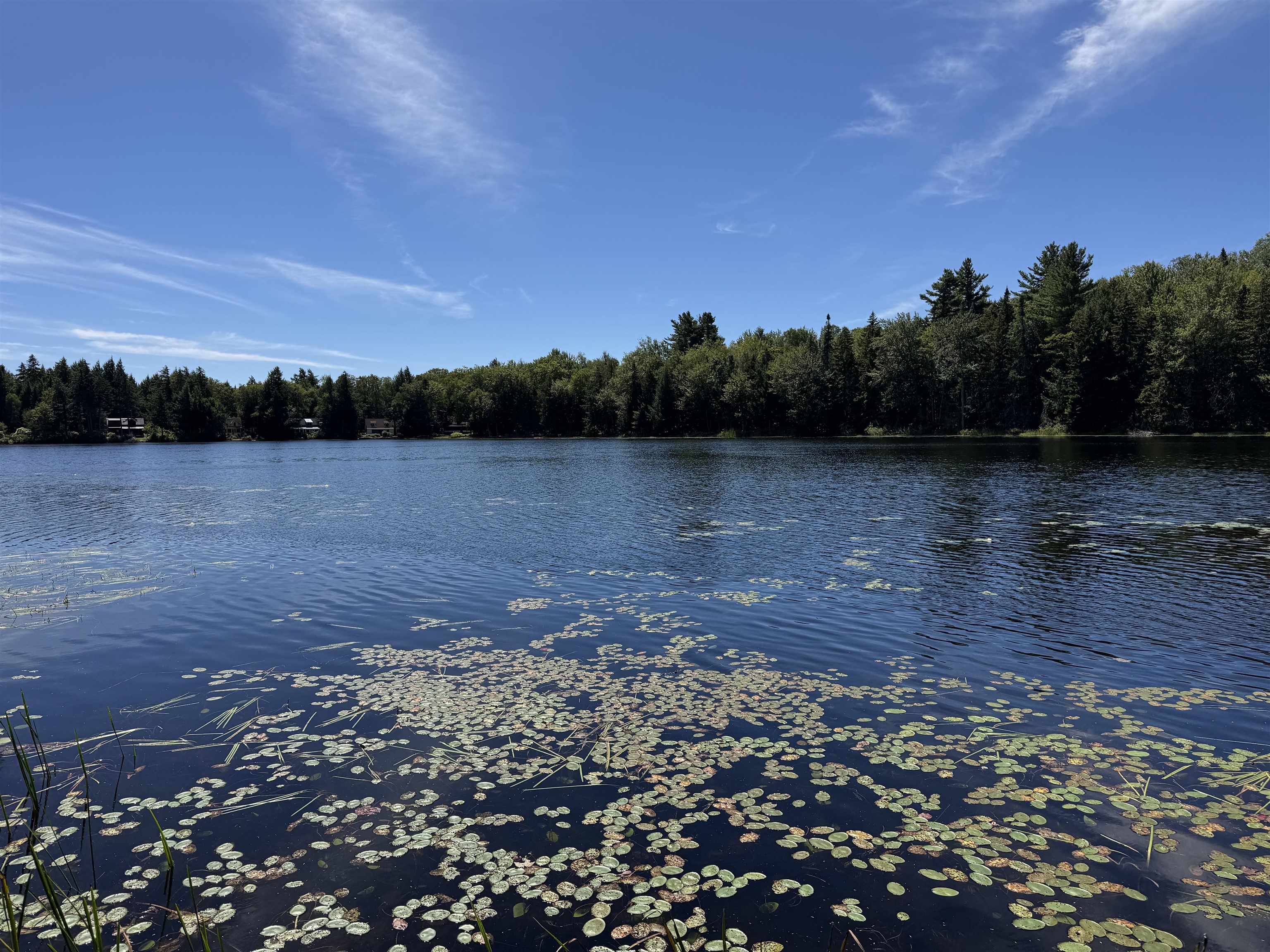 0 Lake Hill Road, Unit SPRING LOT Jacksonville, VT 05342 - Photo 5 of 22