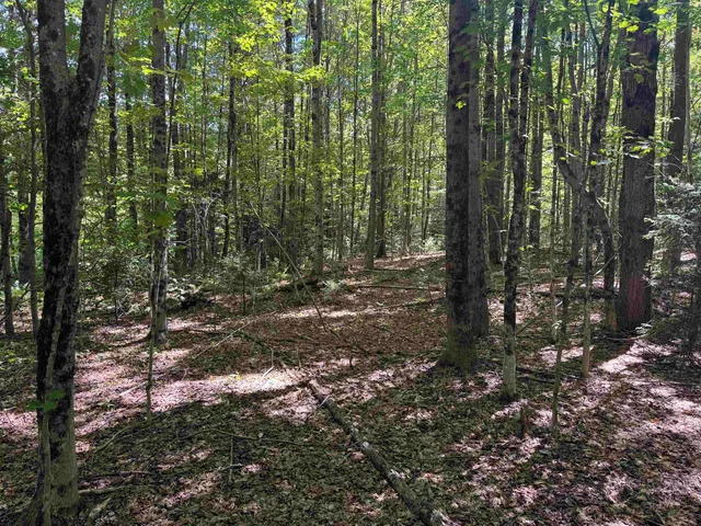 $199,000 | 0 Lake Hill Road, Unit SPRING LOT, Jacksonville, VT 05342