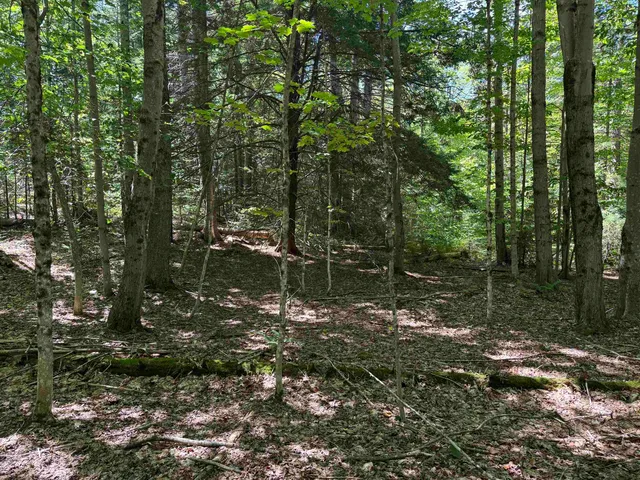 $199,000 | 0 Lake Hill Road, Unit SPRING LOT, Jacksonville, VT 05342