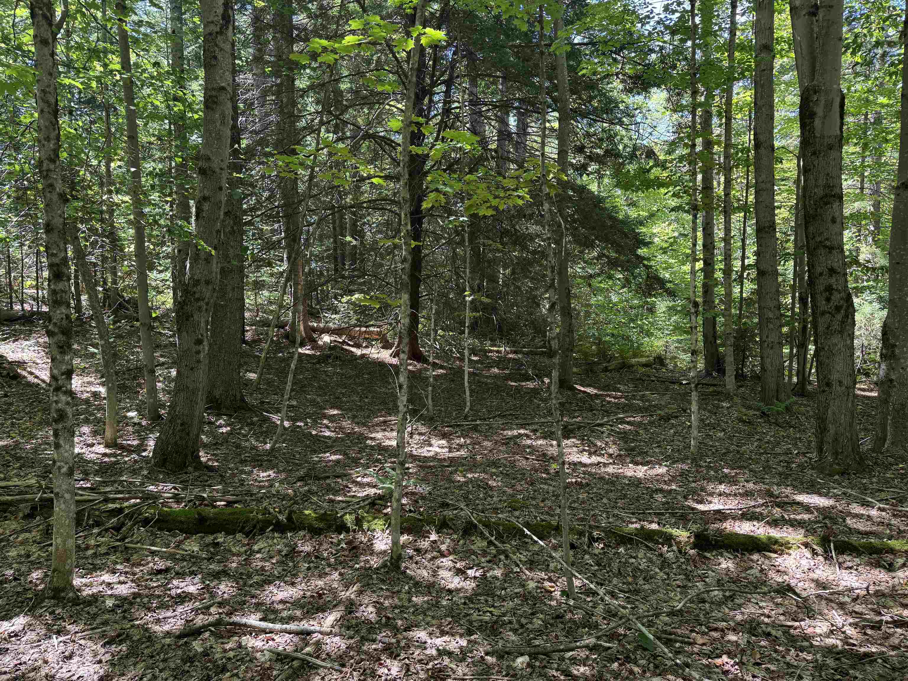 0 Lake Hill Road, Unit SPRING LOT Jacksonville, VT 05342 - Photo 9 of 22