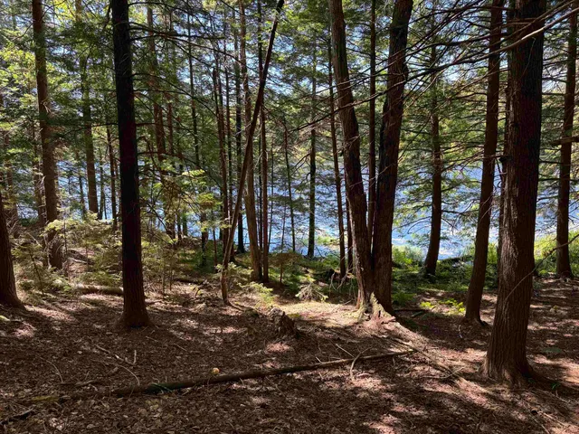 $199,000 | 0 Lake Hill Road, Unit SPRING LOT, Jacksonville, VT 05342