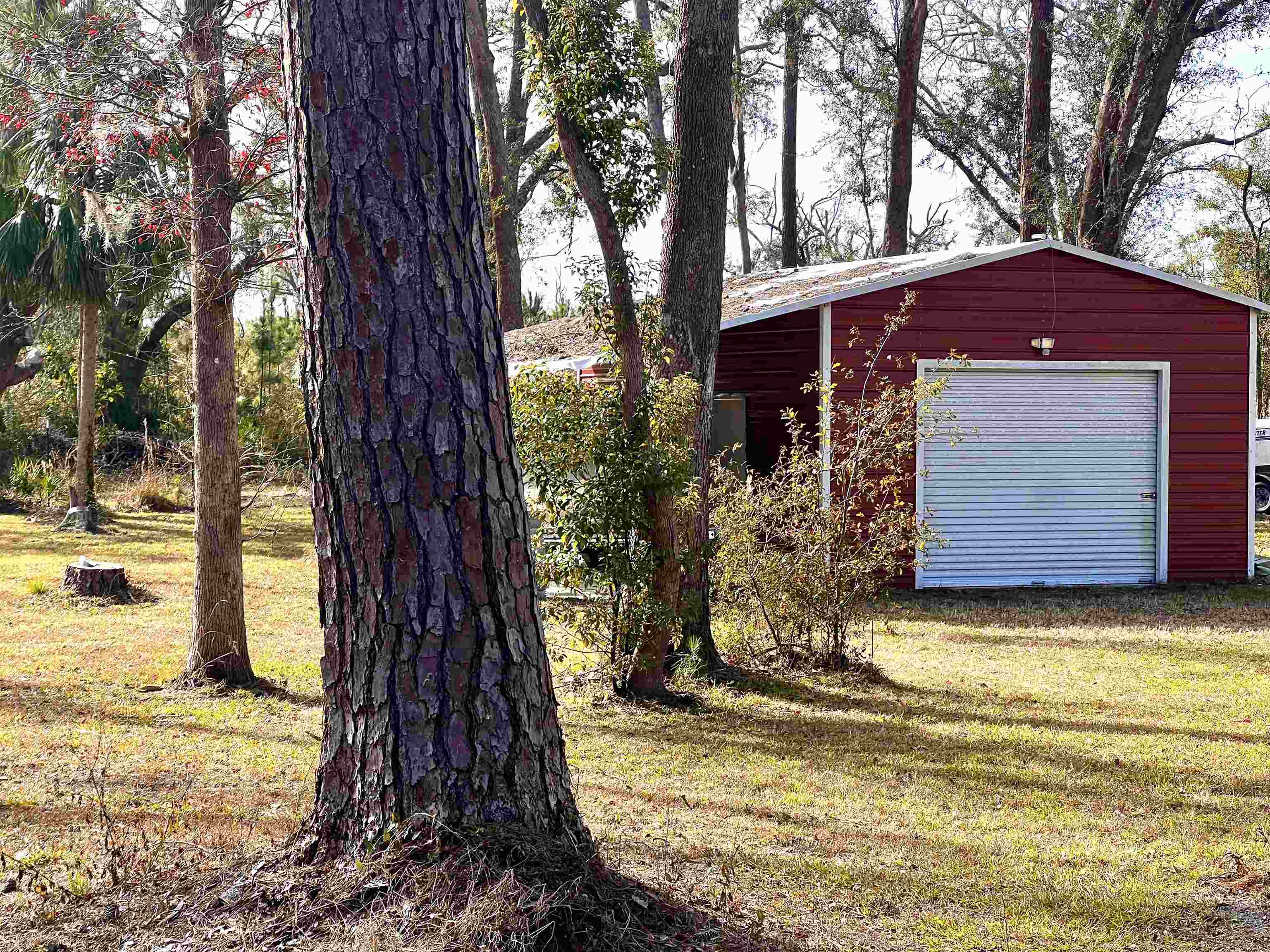 1991 Cairo Parker Road Perry, FL 32347 - Photo 3 of 18 Gallery Image 3