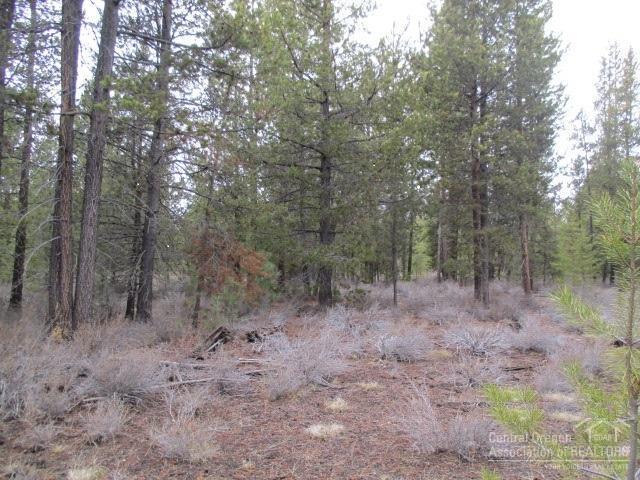 10 Gracies Road Gilchrist, OR 97737 - Photo 1 of 4 Primary Photo
