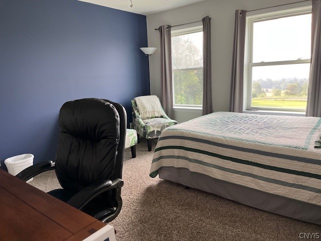7785 Hamilton Road Hamilton, NY 13346 - Photo 36 of 48