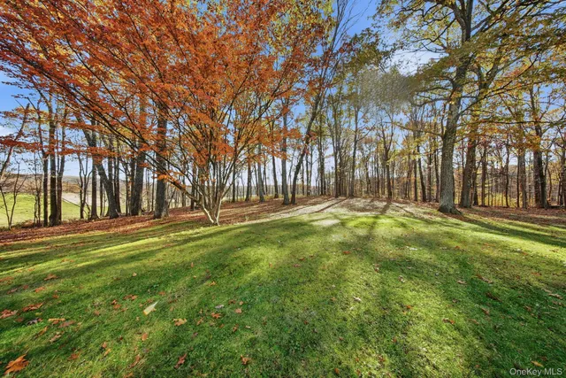 a view of outdoor space with trees