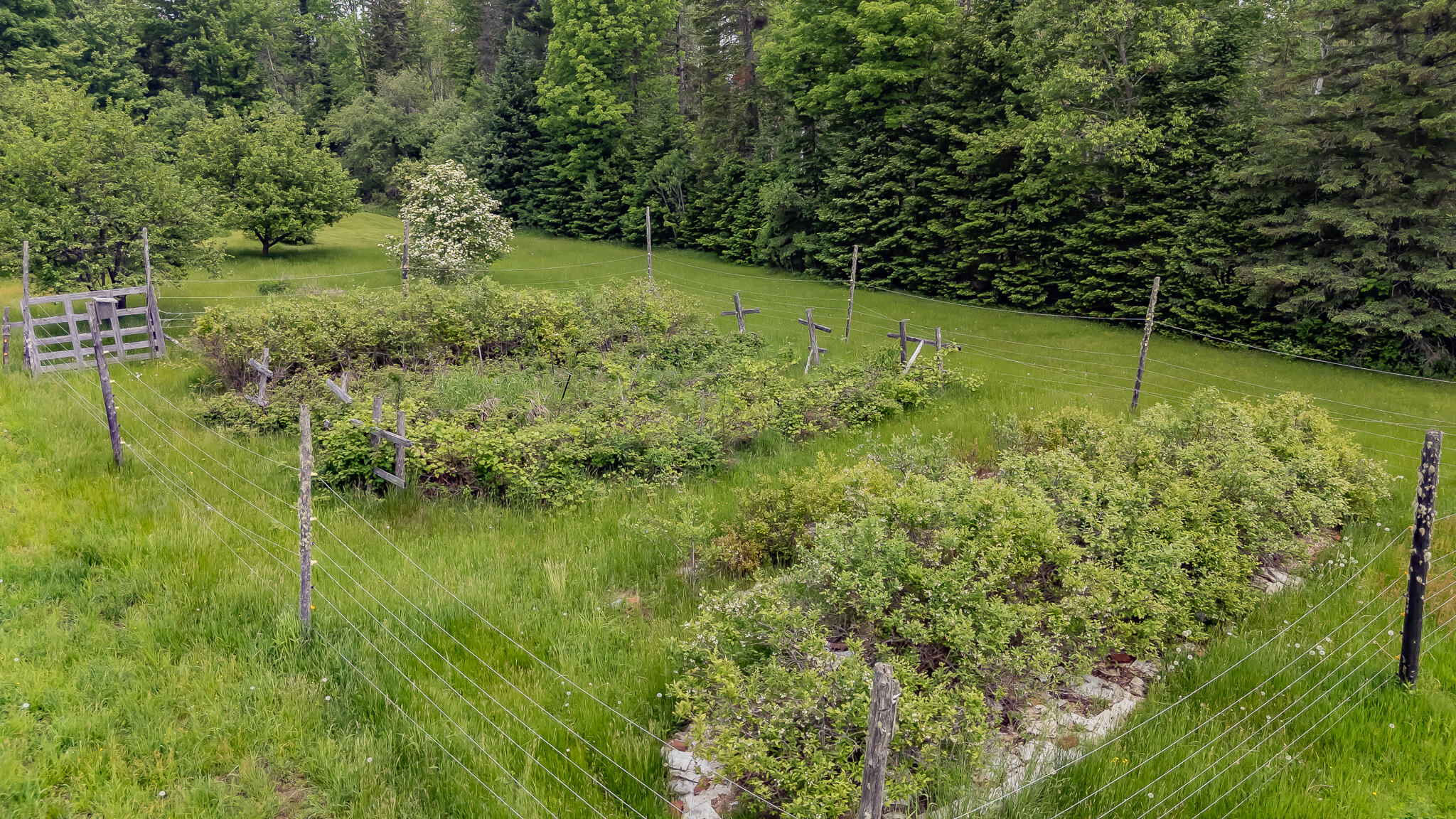 394 Frenchs Mill Road Sangerville, ME 04479 - Photo 76 of 105 DJI_20250606112251_0393_D