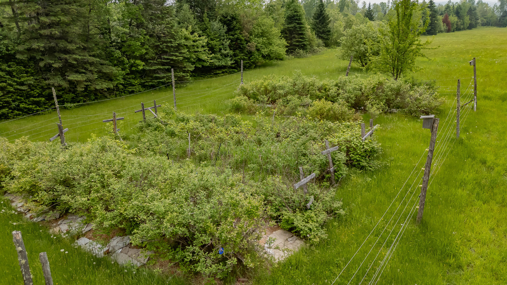 394 Frenchs Mill Road Sangerville, ME 04479 - Photo 78 of 105 DJI_20250606112335_0397_D