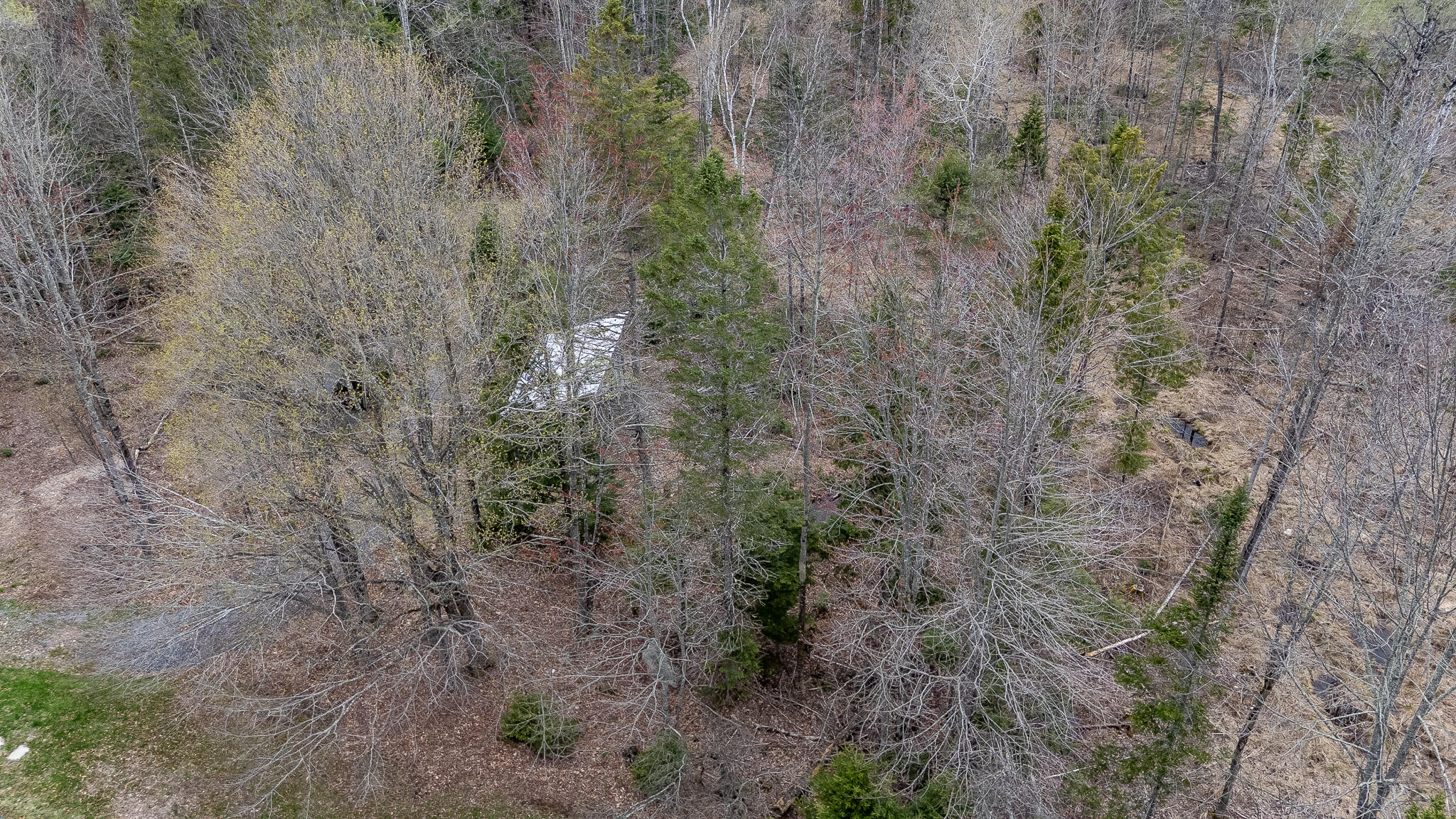 394 Frenchs Mill Road Sangerville, ME 04479 - Photo 81 of 105 DJI_20260507121944_0194_D