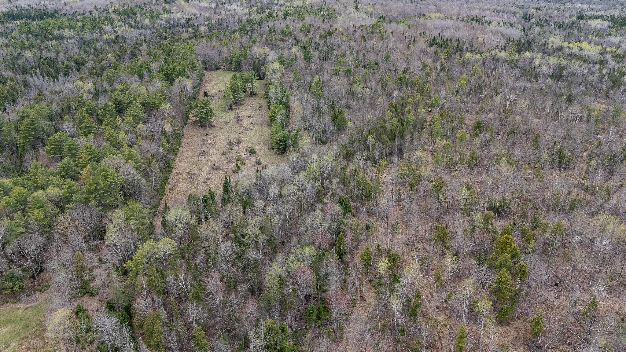394 Frenchs Mill Road Sangerville, ME 04479 - Photo 82 of 105 DJI_20260507122006_0195_D