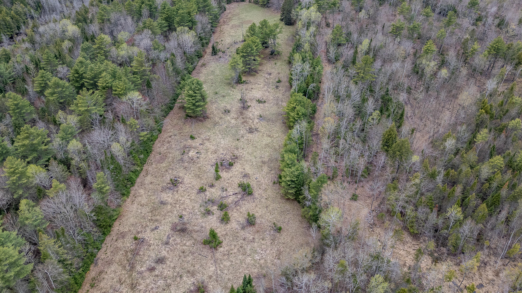 394 Frenchs Mill Road Sangerville, ME 04479 - Photo 83 of 105 DJI_20260507122028_0196_D