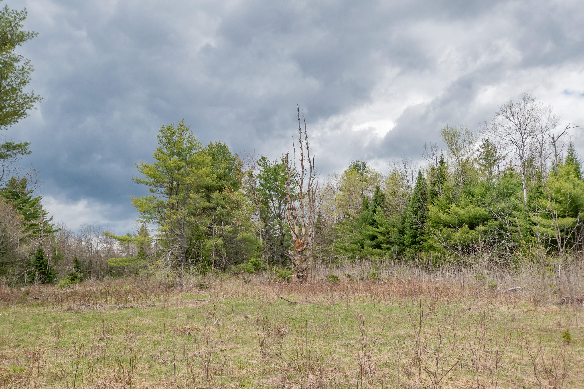 394 Frenchs Mill Road Sangerville, ME 04479 - Photo 97 of 105 DSC_0239