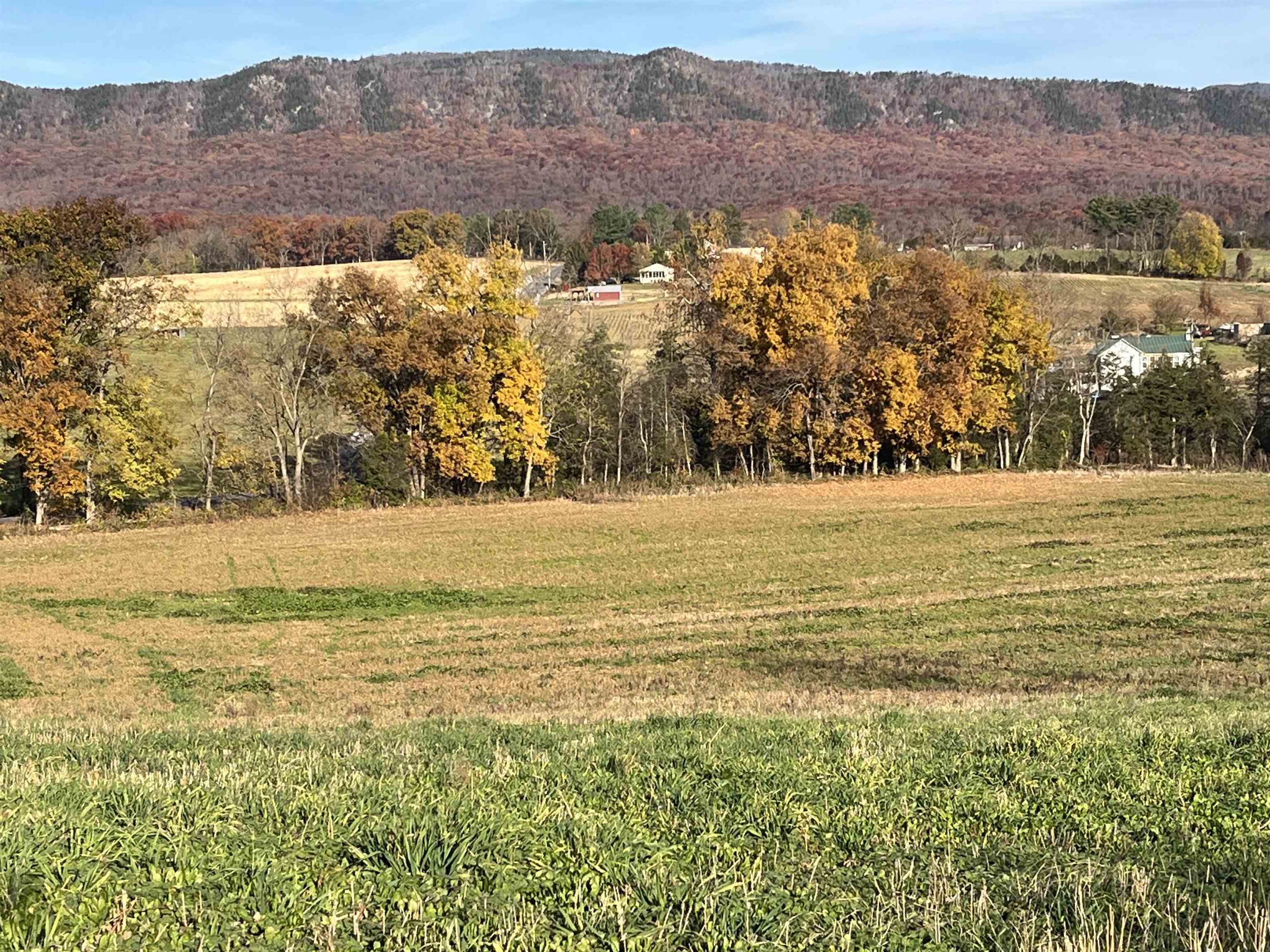 Tbd Michael Lane Elkton, VA 22827 - Photo 2 of 6 a view of lake and mountain