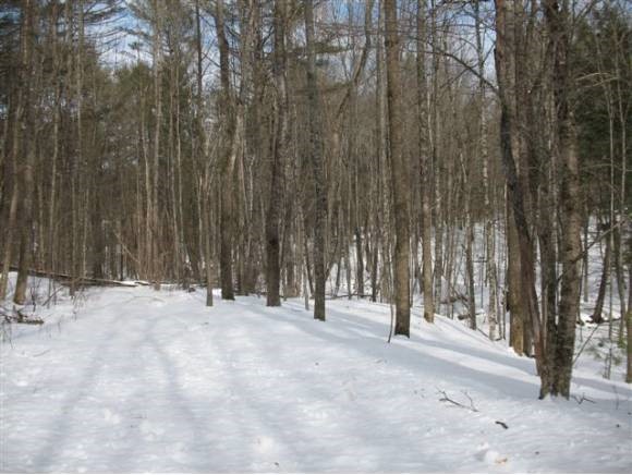 0 Quinibeck Road Thetford Center, VT 05075 - Photo 3 of 5
