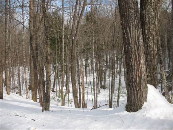 0 Quinibeck Road Thetford Center, VT 05075 - Photo 4 of 5