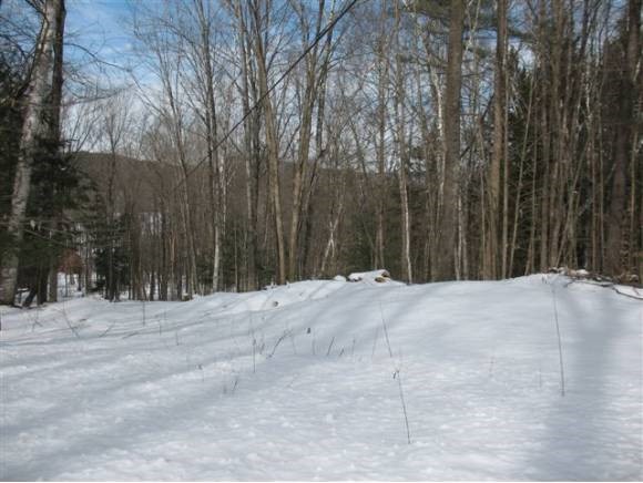 0 Quinibeck Road Thetford Center, VT 05075 - Photo 5 of 5