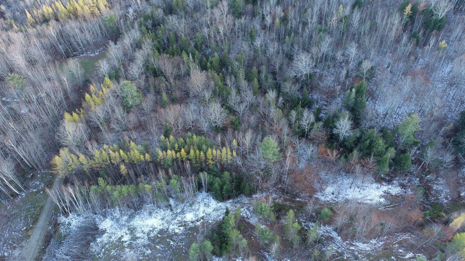 Mr6-l1-b-1 Longley Road Solon, ME 04979 - Photo 6 of 8 8