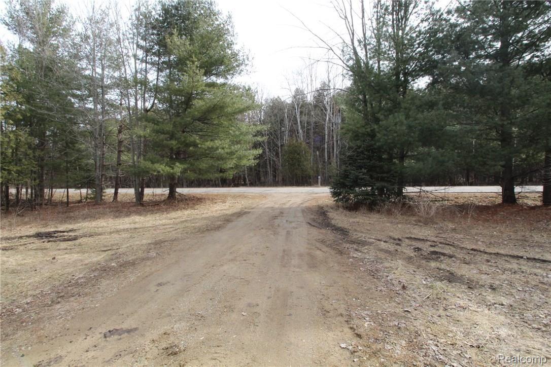 5436 Leix Road Mayville, MI 48744 - Photo 23 of 23 driveway.JPG