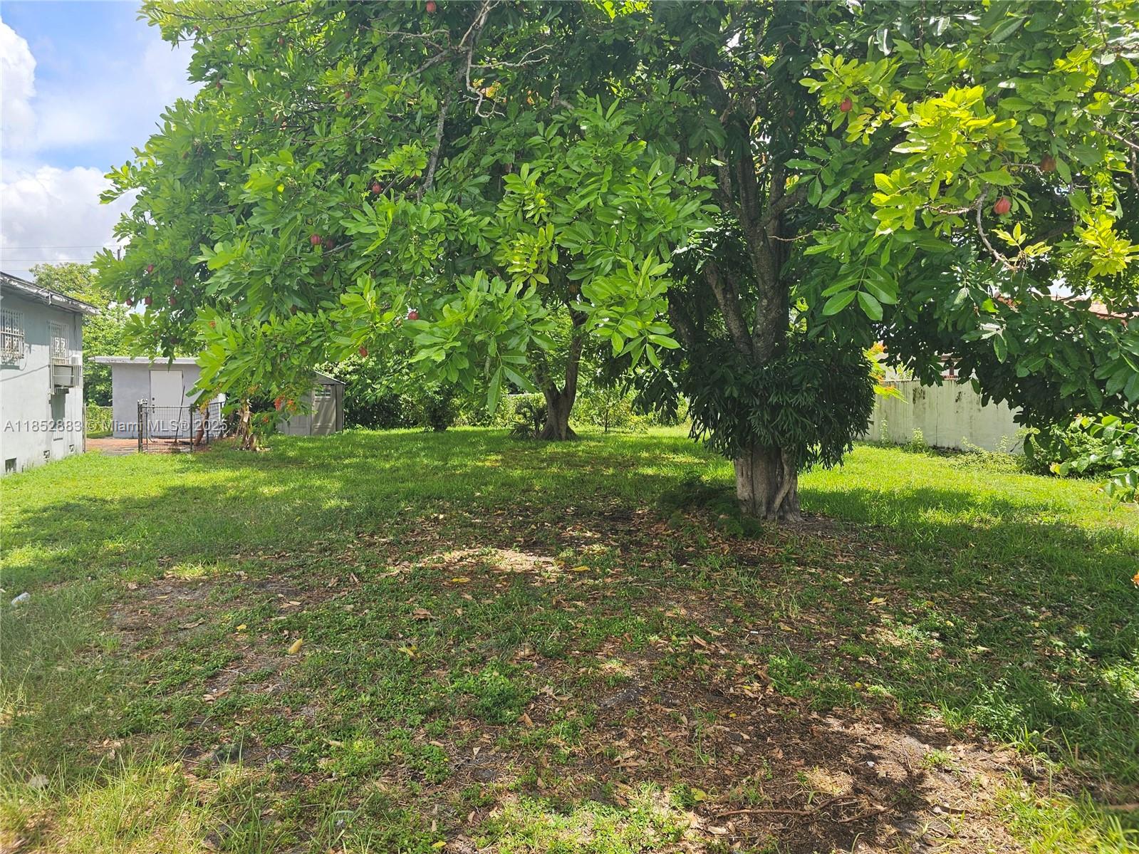 0 East 52nd Hialeah, FL 33013 - Photo 2 of 8 a view of a tree in a yard