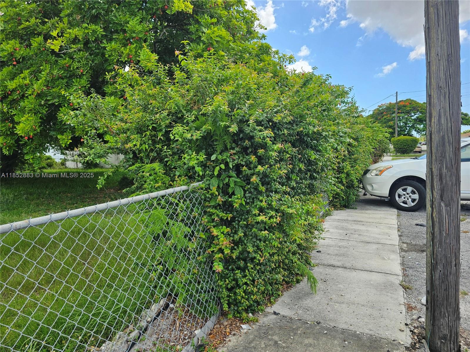 0 East 52nd Hialeah, FL 33013 - Photo 8 of 8 a view of a pathway both side of yard