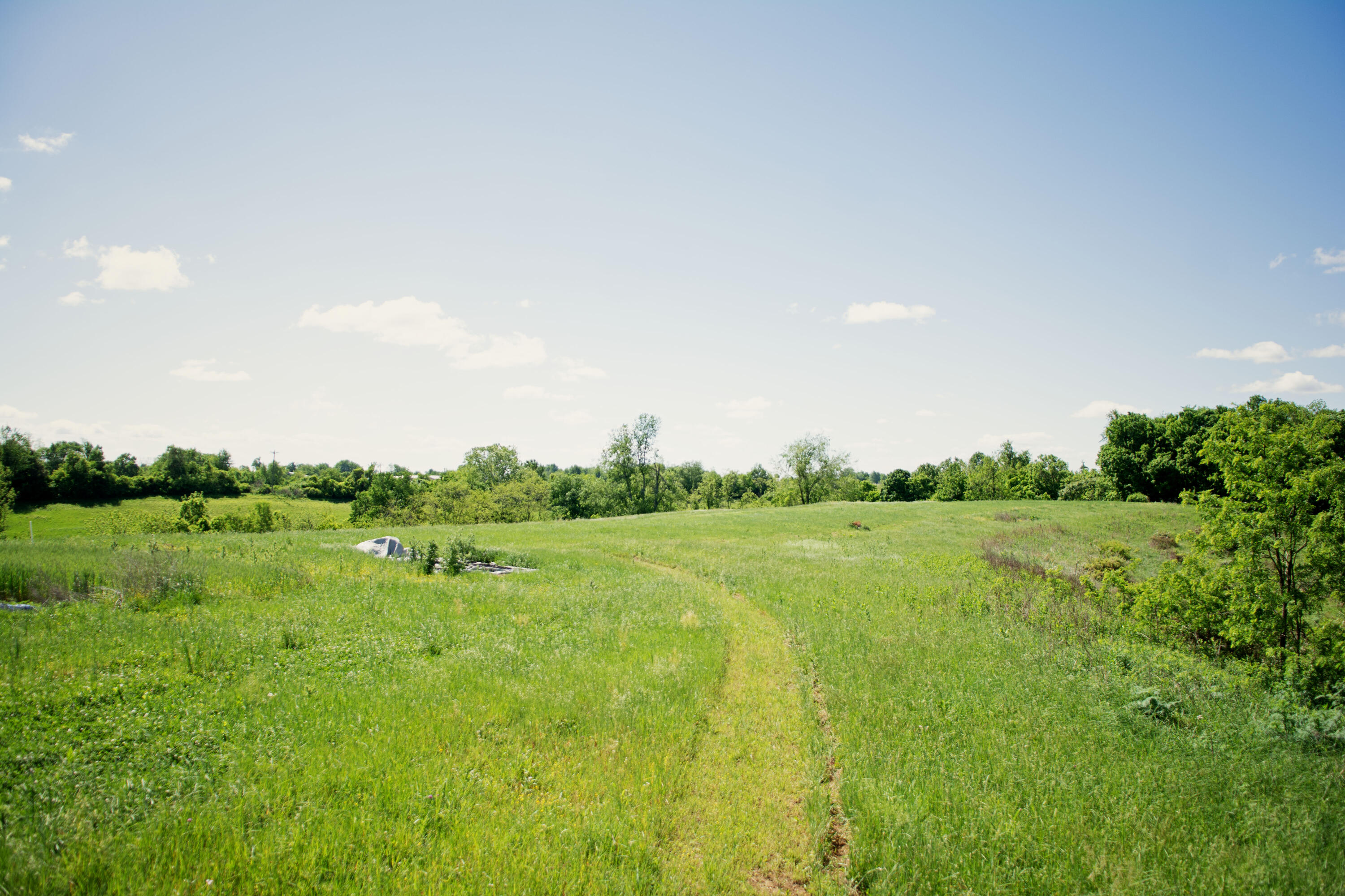 9733 Buckeye Road Lancaster, KY 40444 - Photo 15 of 31 DSC_2005 copy