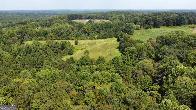 a view of a lush green forest with trees and some houses