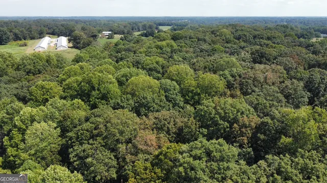 an aerial view of a houses with a lush green hillside