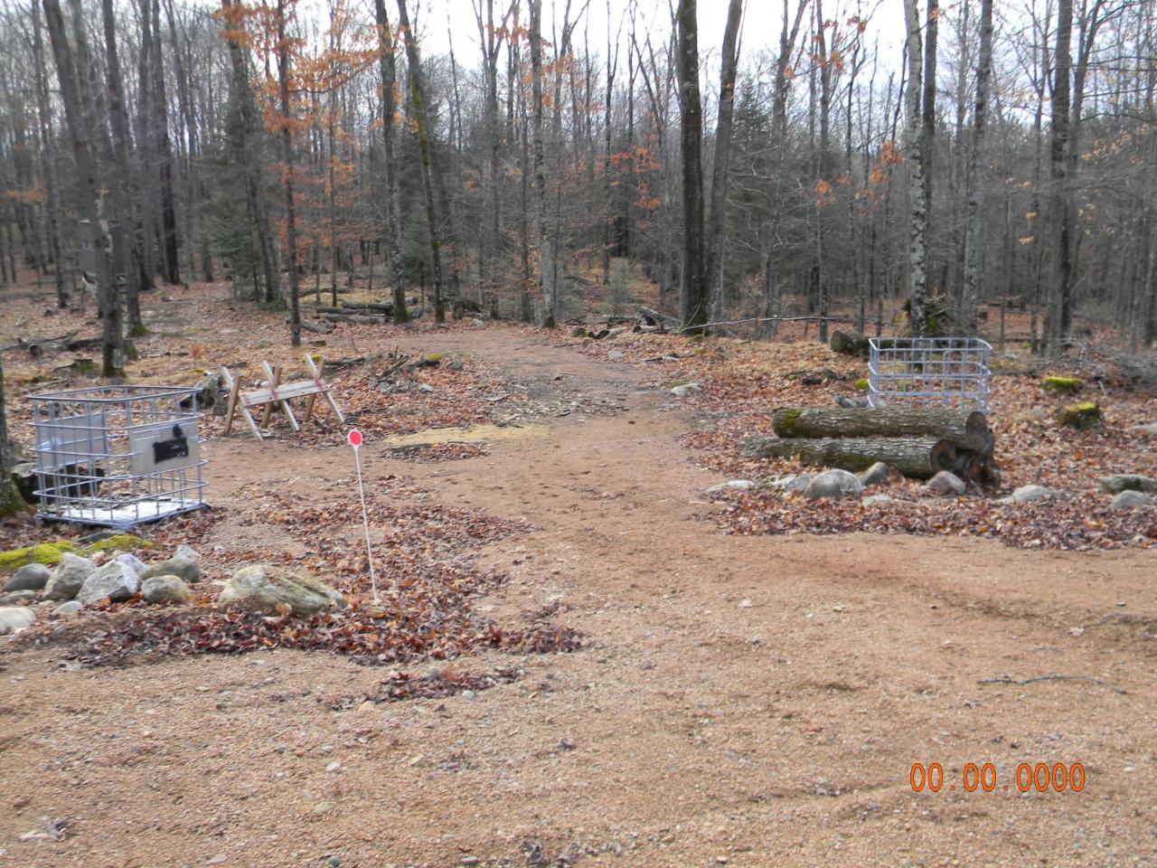 N7403 Begin Road Deerbrook, WI 54424 - Photo 16 of 66 Gallery Image 16