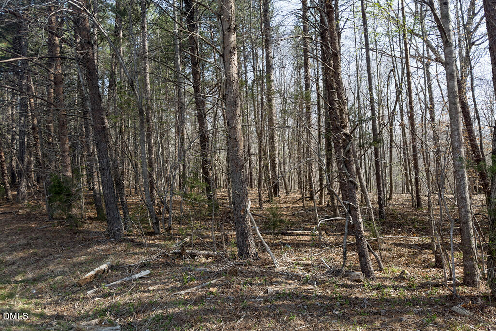 8442 Charlie Stovall Road Roxboro, NC 27574 - Photo 8 of 8