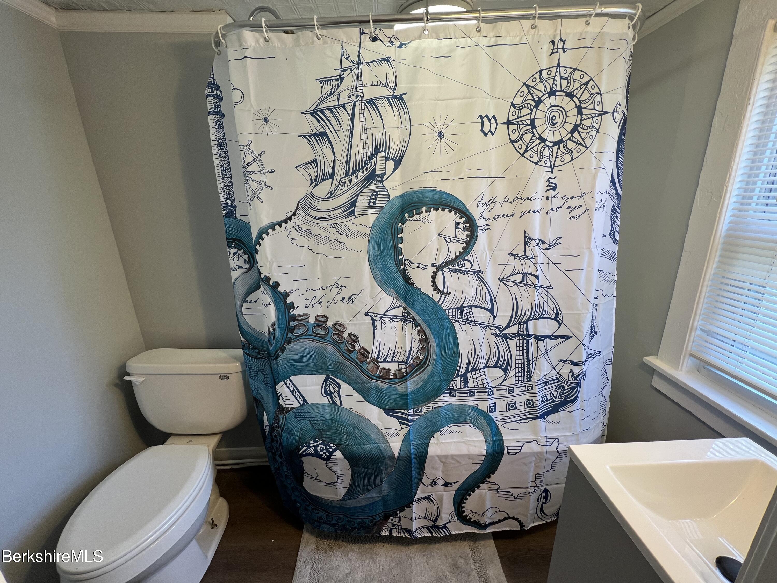 71 Howard Street Pittsfield, MA 01201 - Photo 26 of 42 a white toilet sitting next to a shower curtain