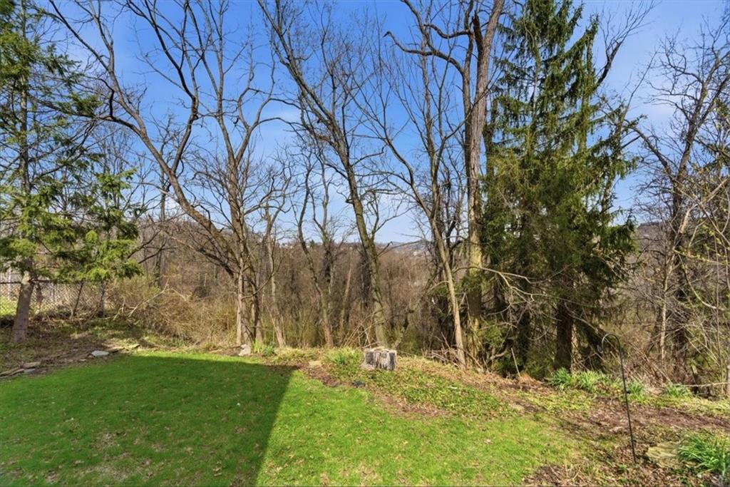 30 Warriors Road Pittsburgh, PA 15220 - Photo 23 of 30 a backyard of a house with lots of green space