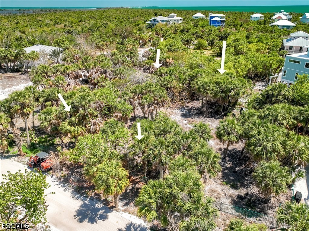 4430 Conch Shell Drive Upper Captiva, FL 33924 - Photo 23 of 32 a view of a garden with plants