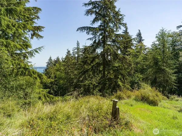 $165,000 | 0 Sunrise Bluff Lane, Orcas Island, WA 98279