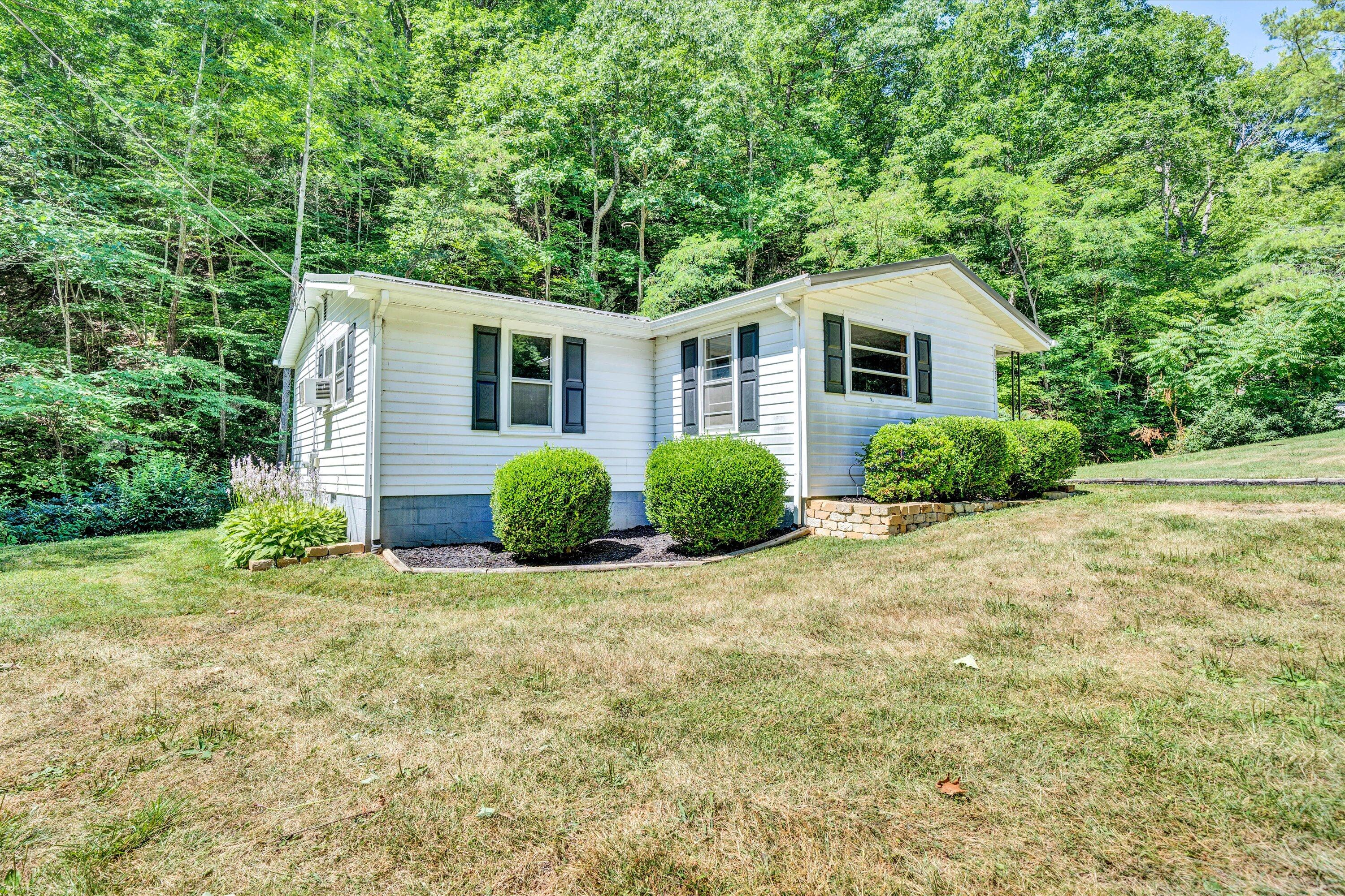 1395 John Arthur Road Boones Mill, VA 24065 - Photo 2 of 22 Left Side