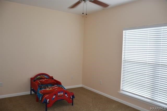 6533 Judge Logue Road Newton, AL 36352 - Photo 17 of 32 Gallery Image 17