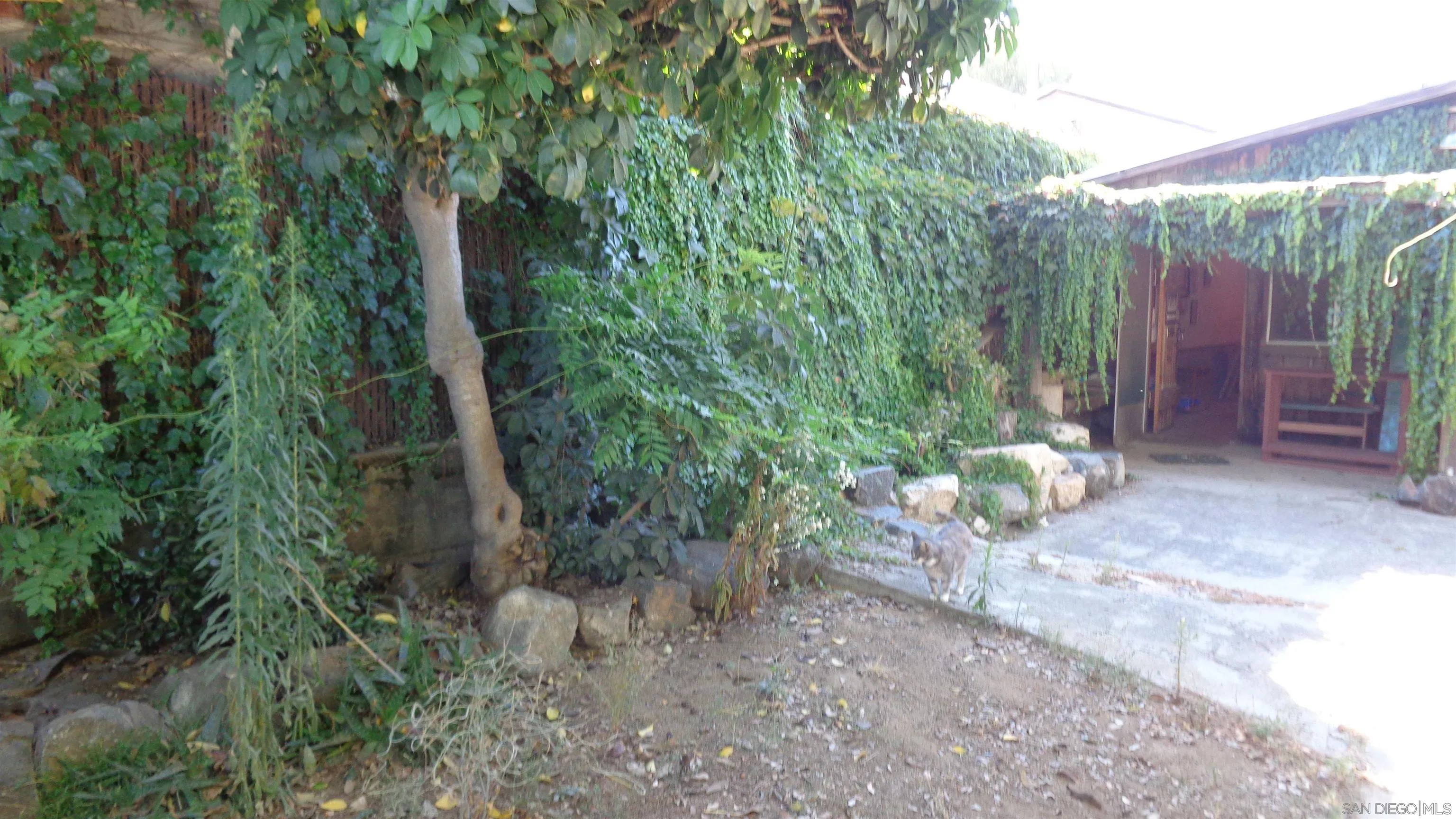 29010 Lilac Road Valley Center, CA 92082 - Photo 2 of 16