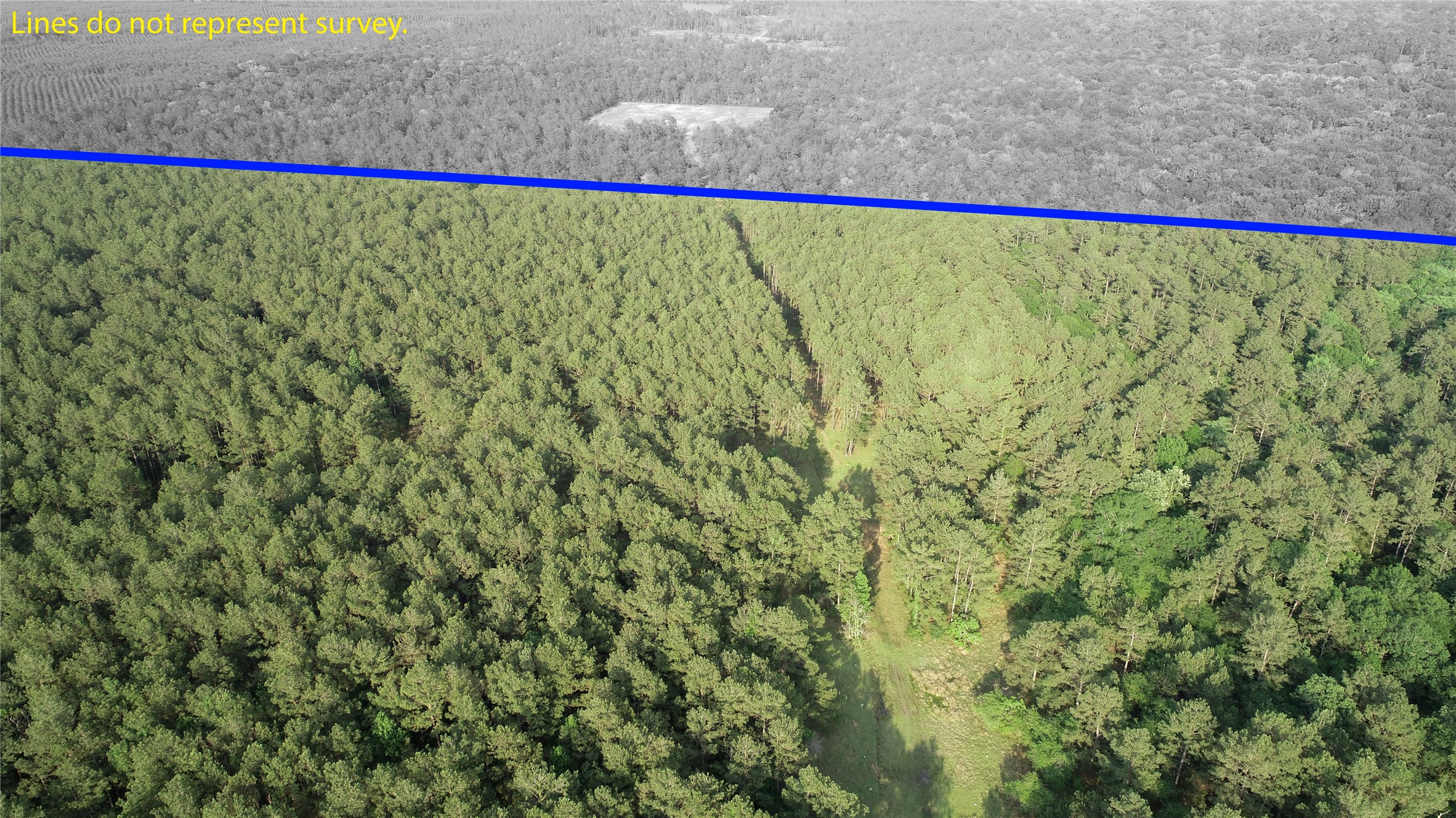 0 Old Beaumont Road Sour Lake, TX 77659 - Photo 12 of 16