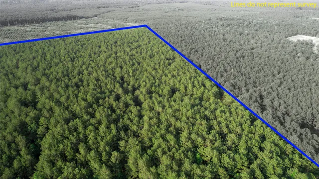 a view of a lush green field