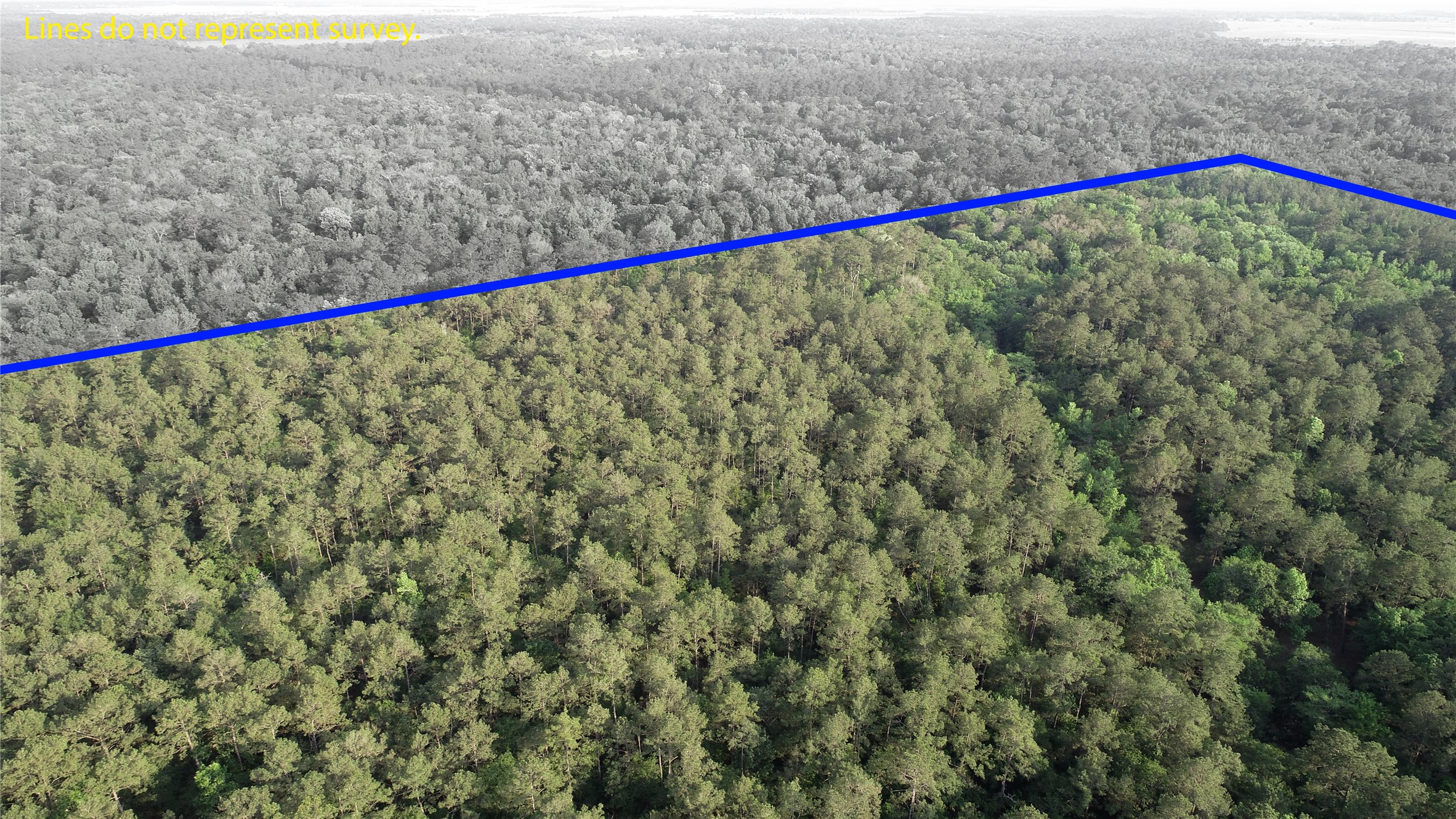 0 Old Beaumont Road Sour Lake, TX 77659 - Photo 14 of 16 a close up of a dry yard