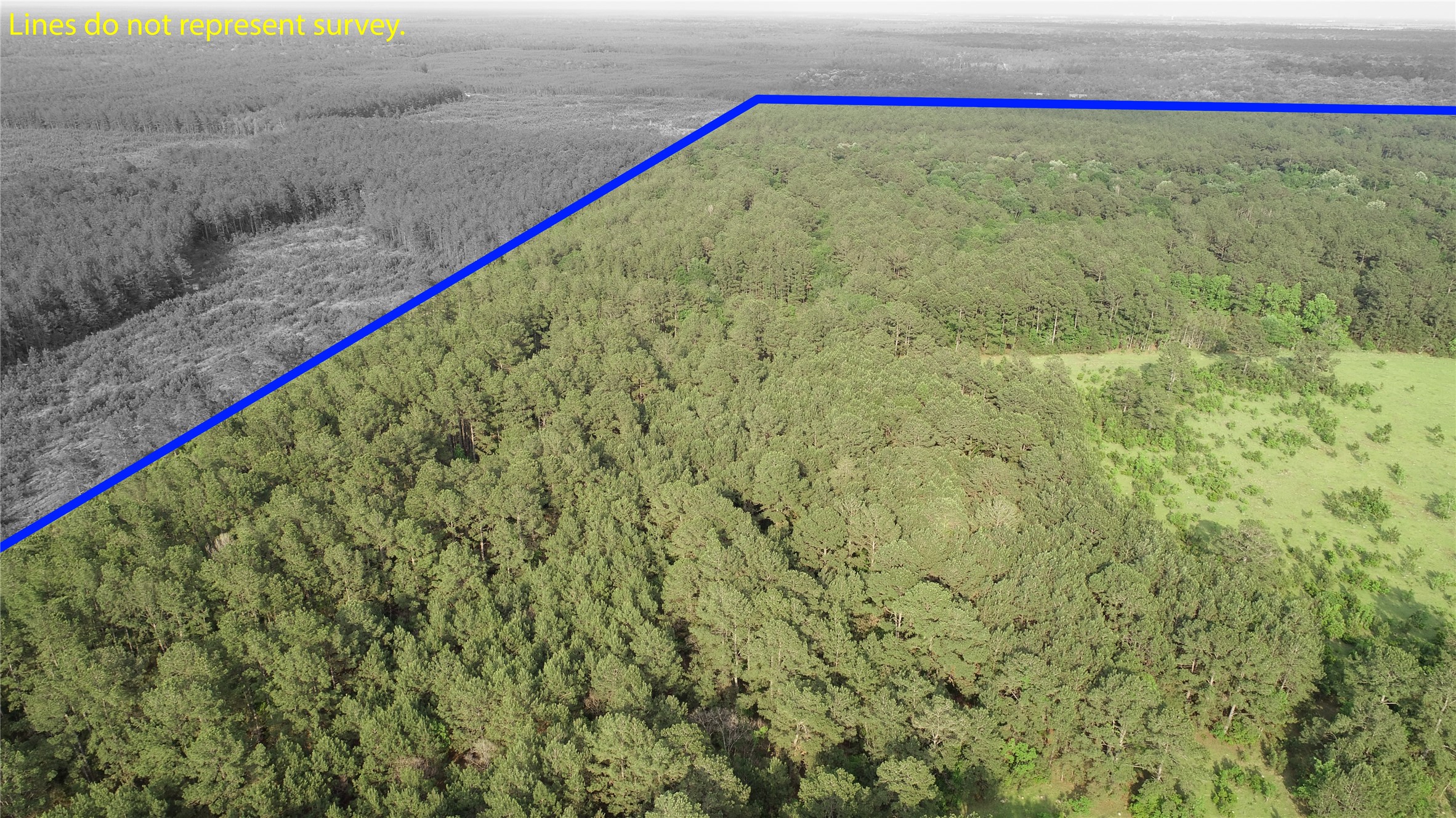 0 Old Beaumont Road Sour Lake, TX 77659 - Photo 5 of 16 a close up of a dry yard