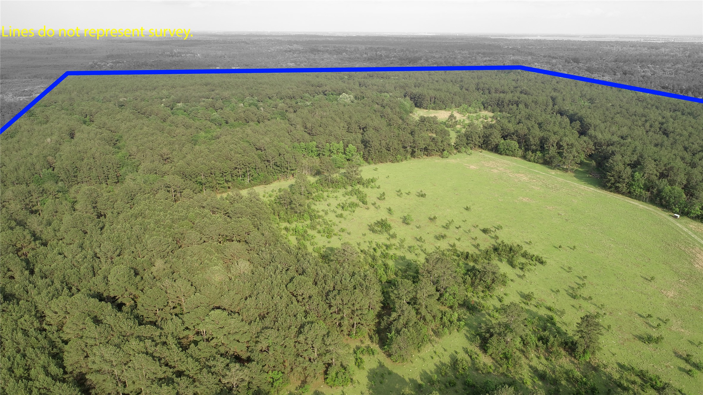 0 Old Beaumont Road Sour Lake, TX 77659 - Photo 6 of 16 a view of a yard