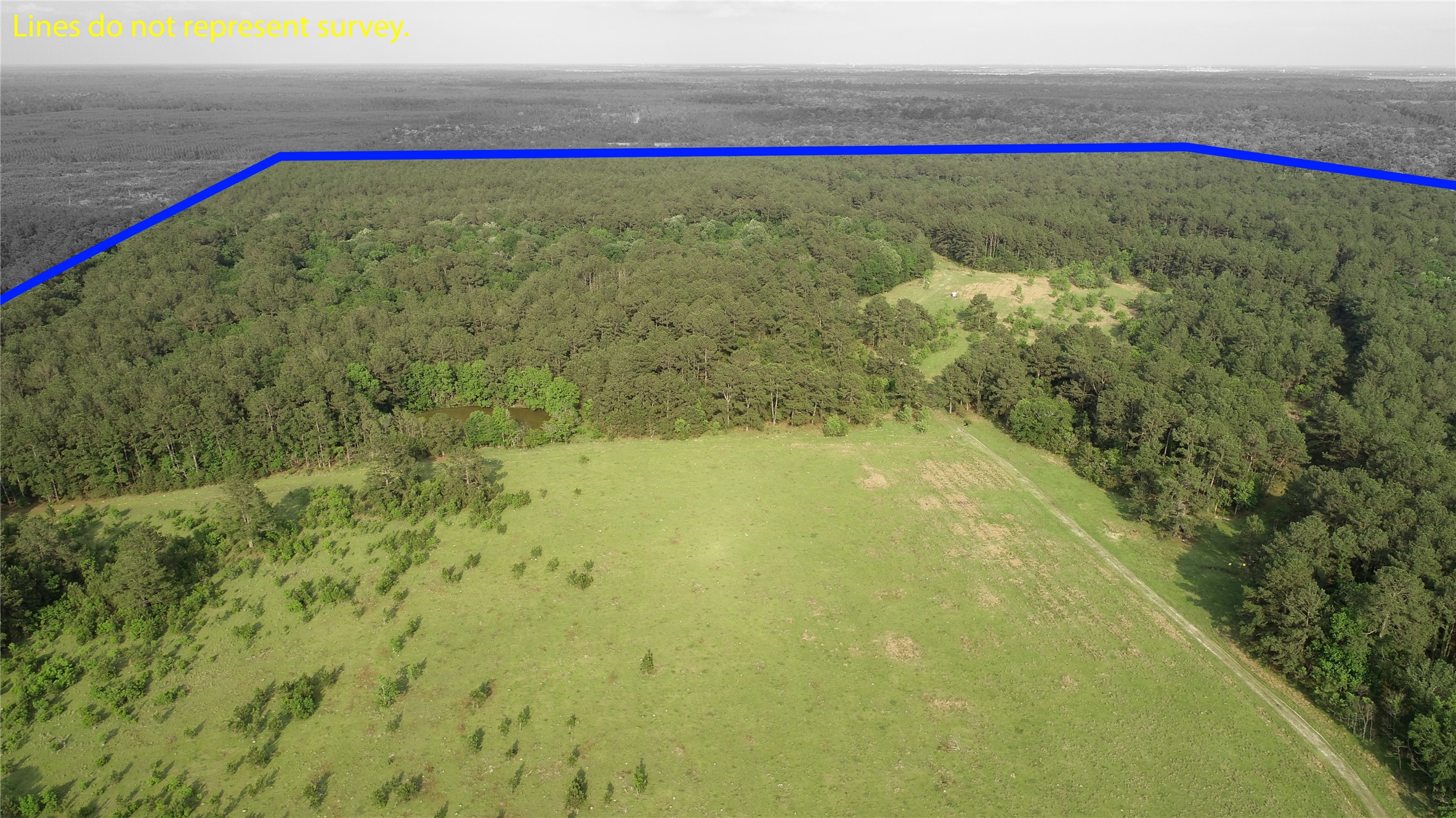 0 Old Beaumont Road Sour Lake, TX 77659 - Photo 7 of 16 a view of small trees