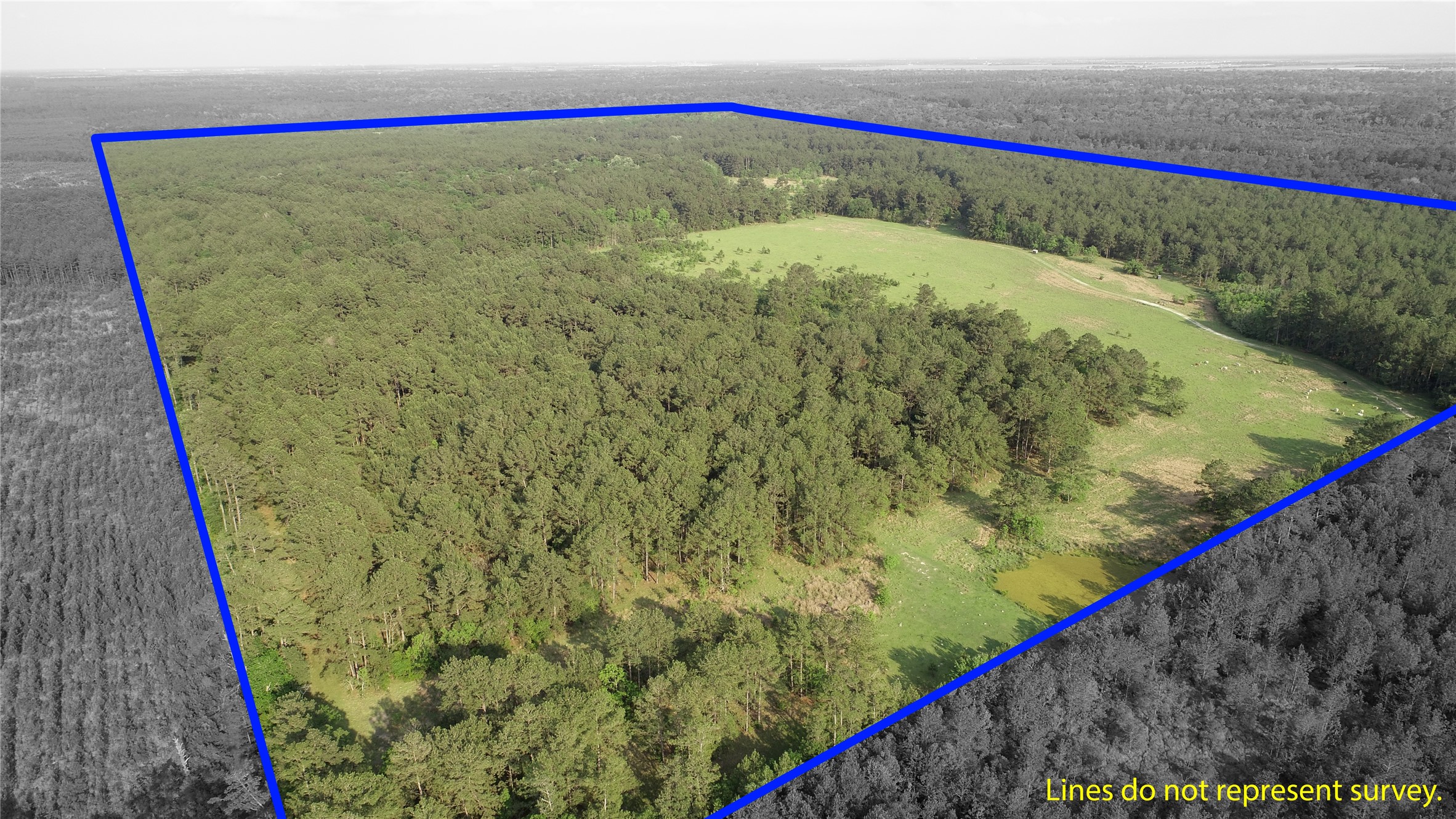 0 Old Beaumont Road Sour Lake, TX 77659 - Photo 8 of 16 a picture of a room and a lake view