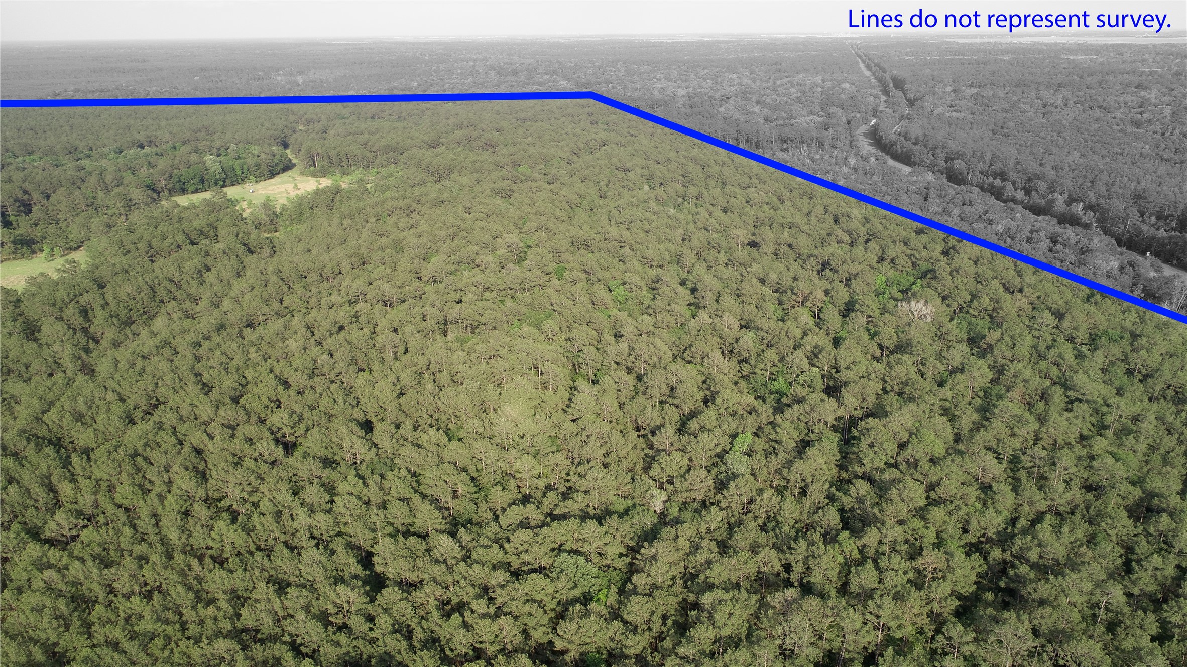 0 Old Beaumont Road Sour Lake, TX 77659 - Photo 9 of 16