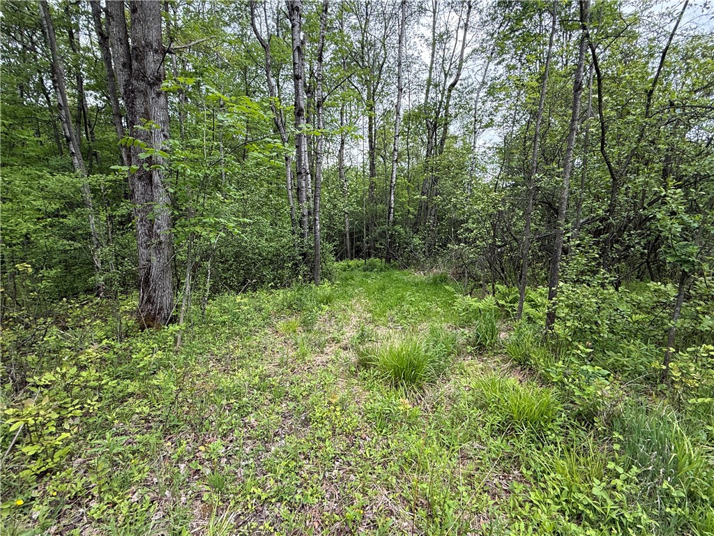Hawley Road Bradford, NY 14815 - Photo 11 of 42