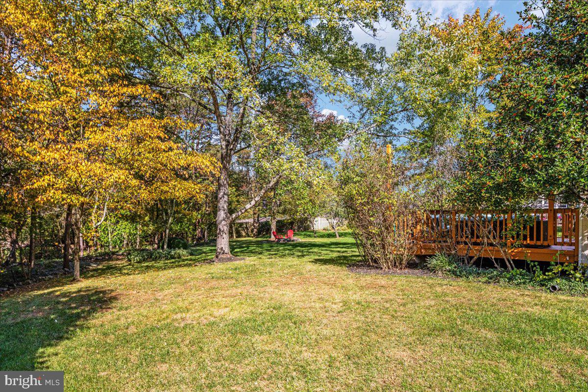 6702 Jade Post Lane Centreville, VA 20121 - Photo 45 of 66