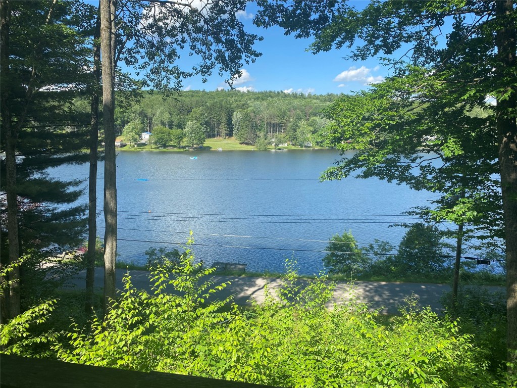 183 White Birch Lake Road Windsor, NY 13865 - Photo 2 of 14