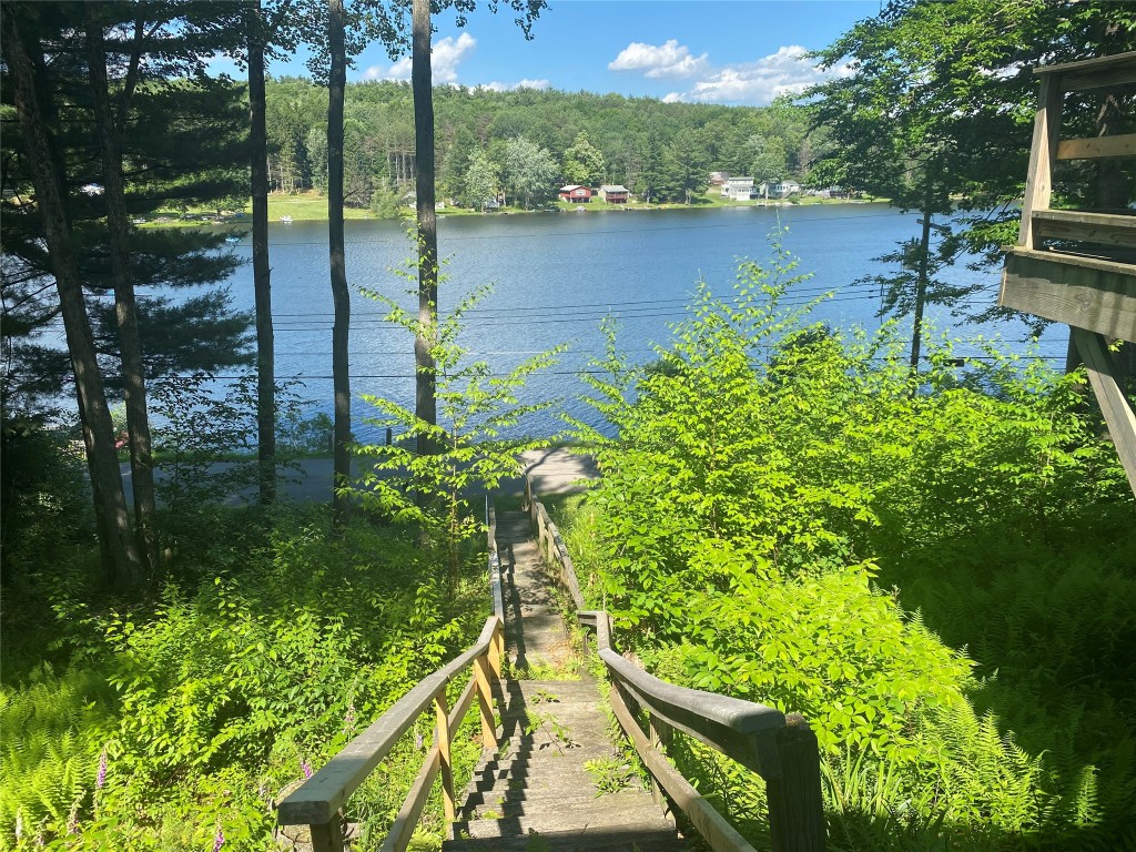 183 White Birch Lake Road Windsor, NY 13865 - Photo 3 of 14